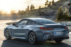 BMW 8 sērija G15 Kupeja 2018 - 2022 foto 9